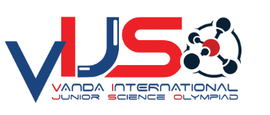 Logo VIJSO
